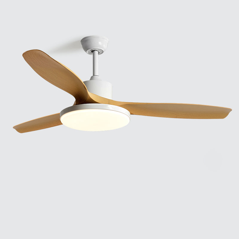 Meredith | Ceiling Fan