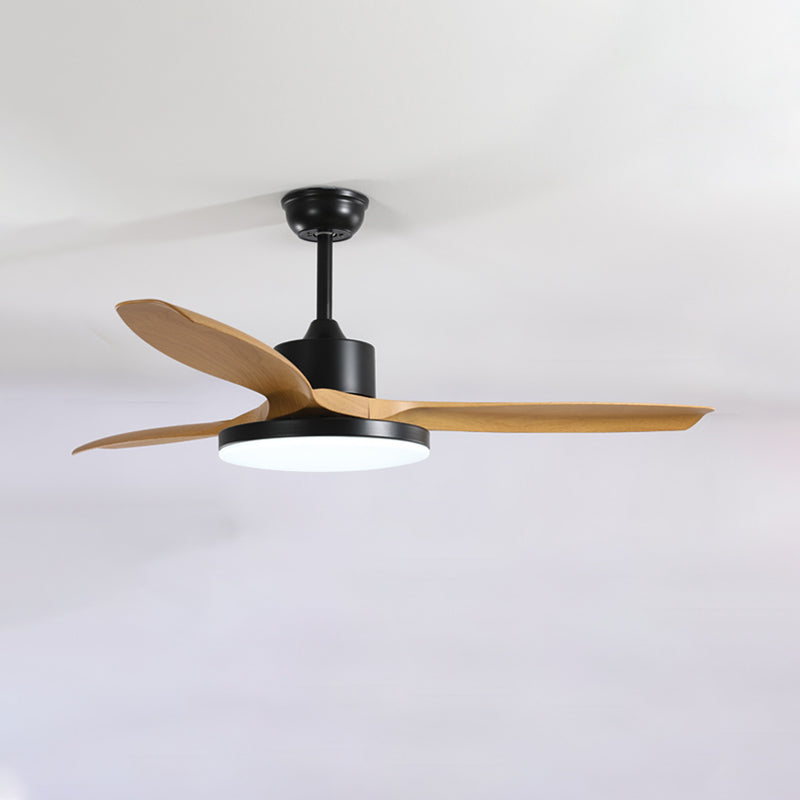 Meredith | Ceiling Fan