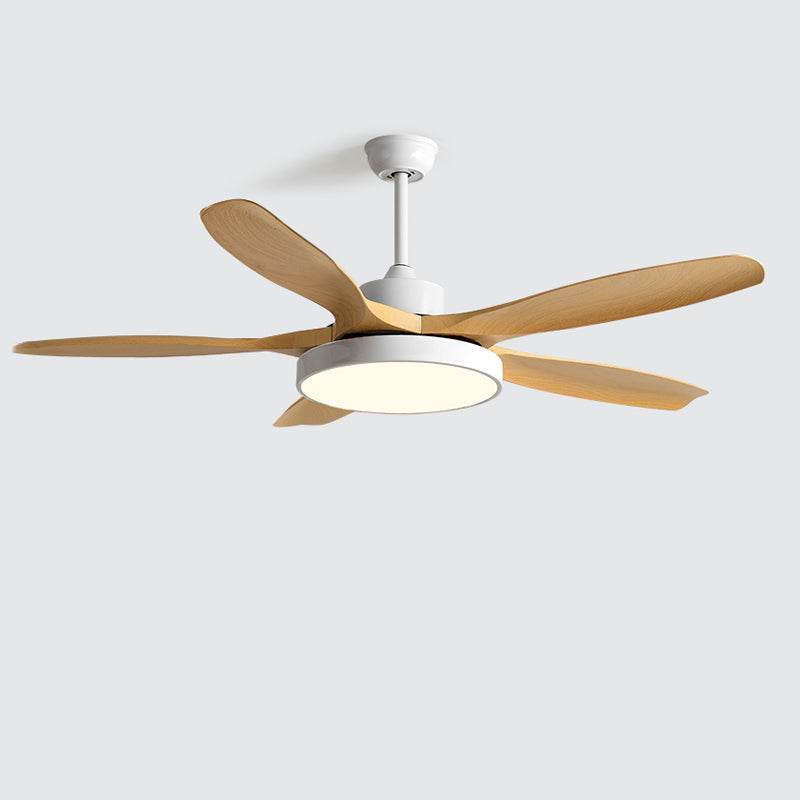 Meredith | Ceiling Fan