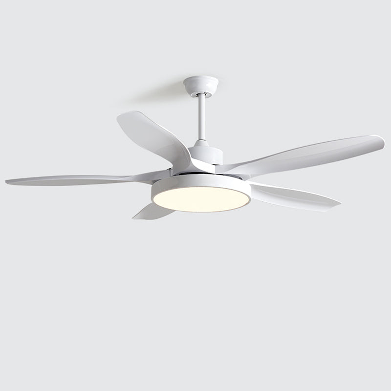 Meredith | Ceiling Fan