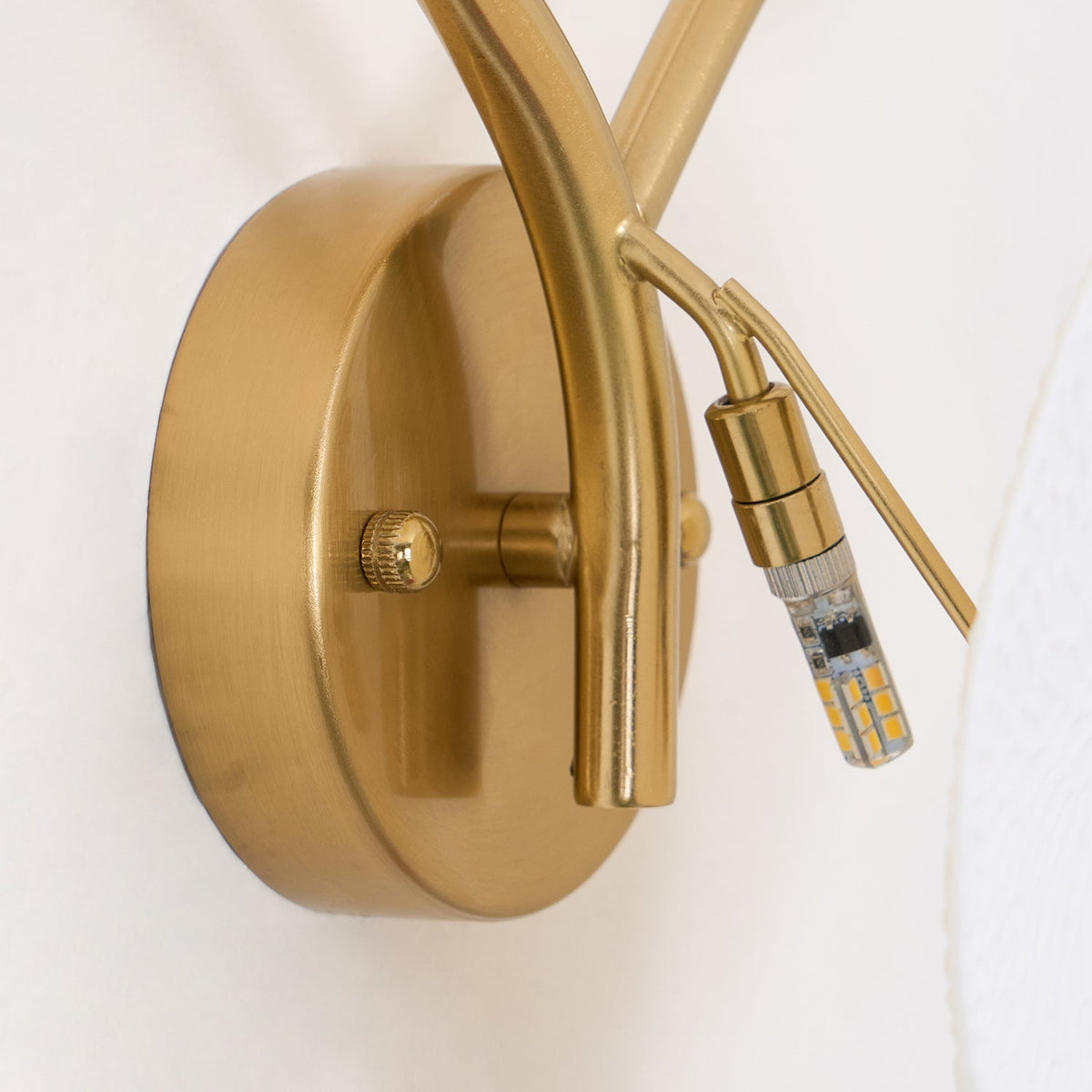 Audrey | Wall Lamp