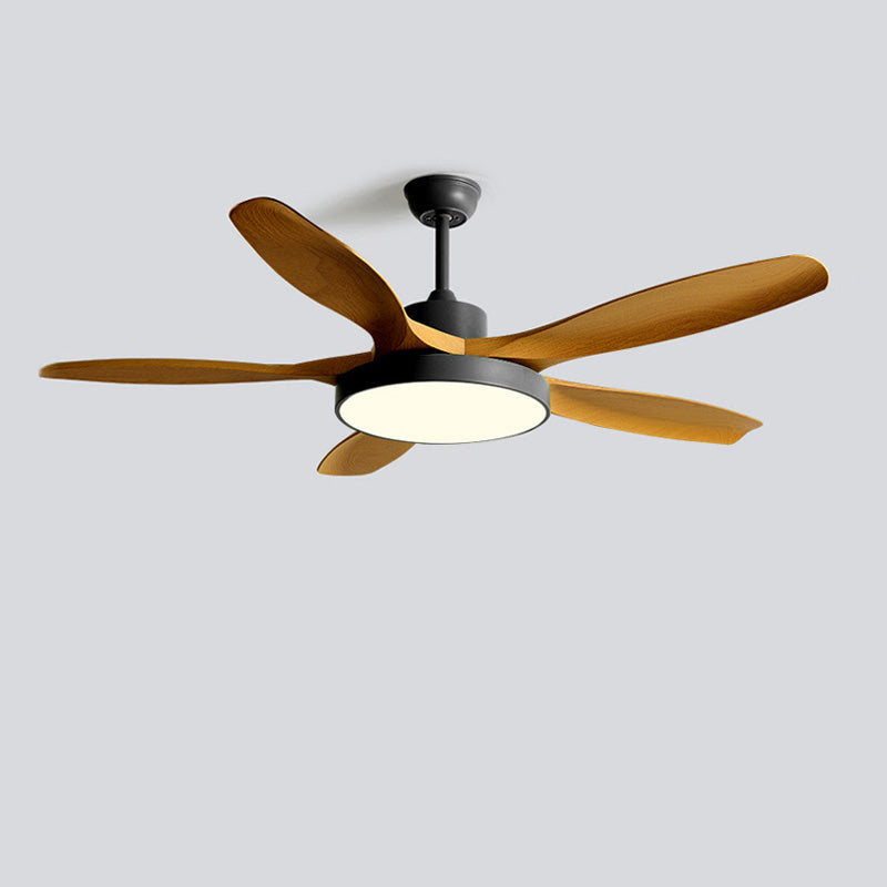 Meredith | Ceiling Fan