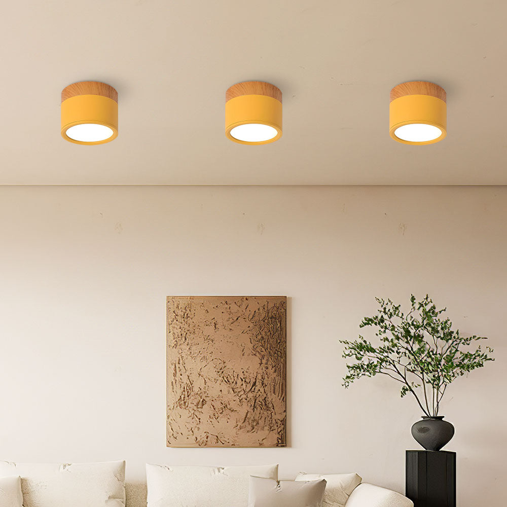 Sadie | Wood Ceiling Light