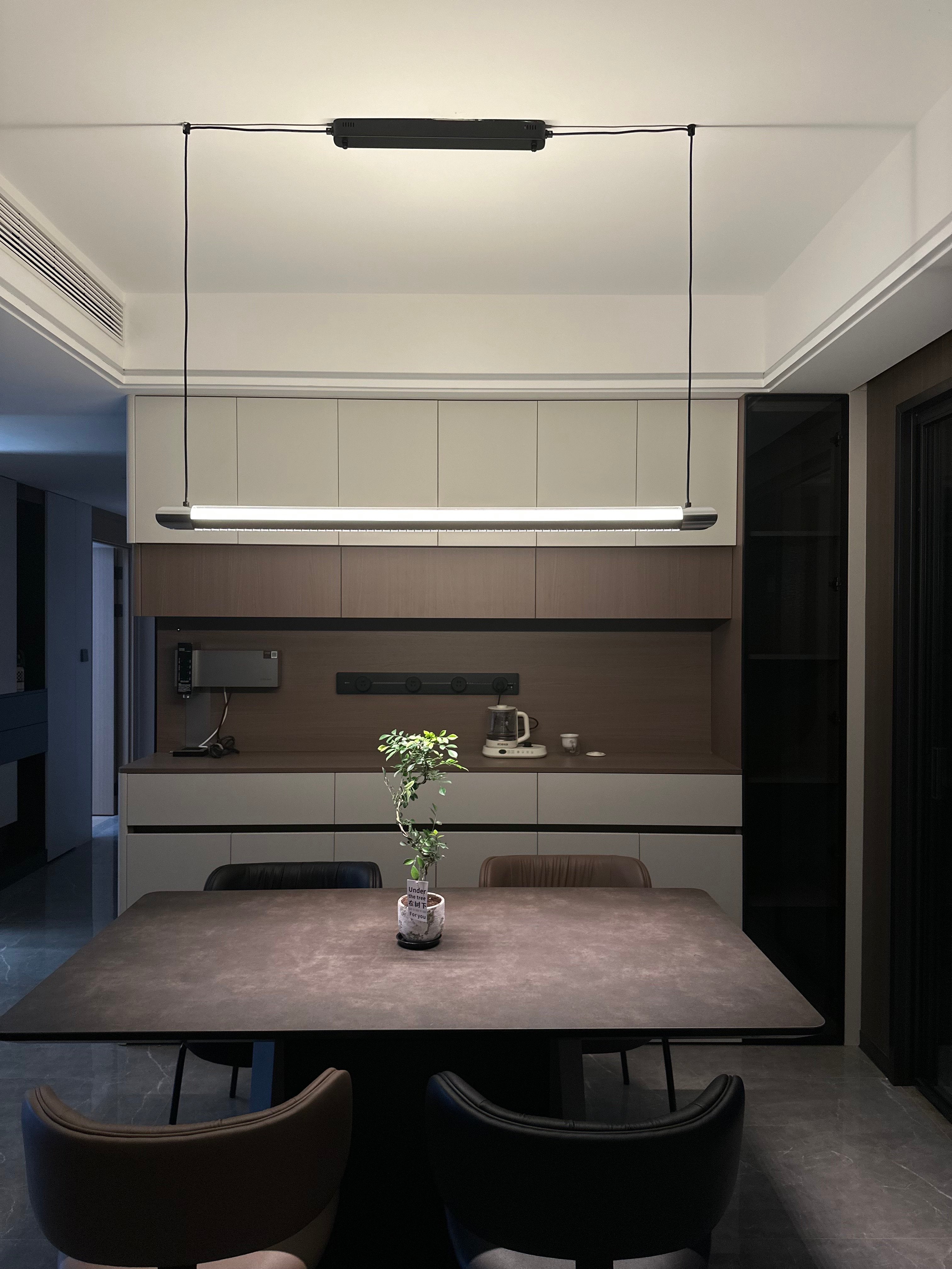 Catherine | Black Linear Pendant