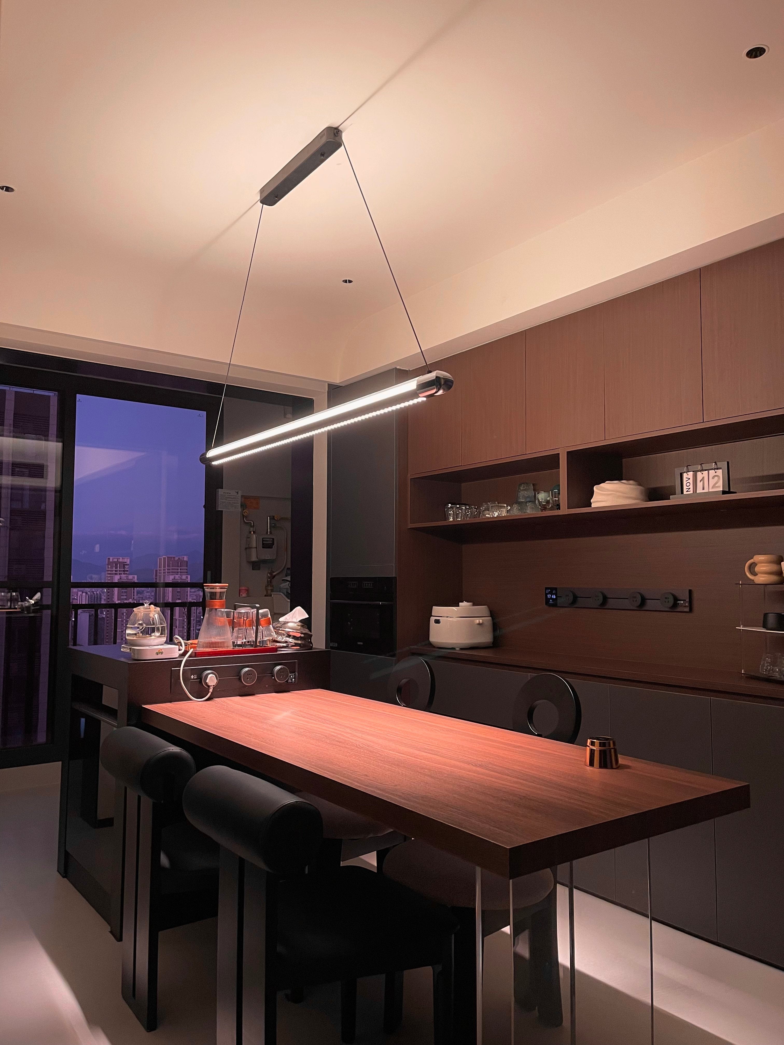 Catherine | Black Linear Pendant