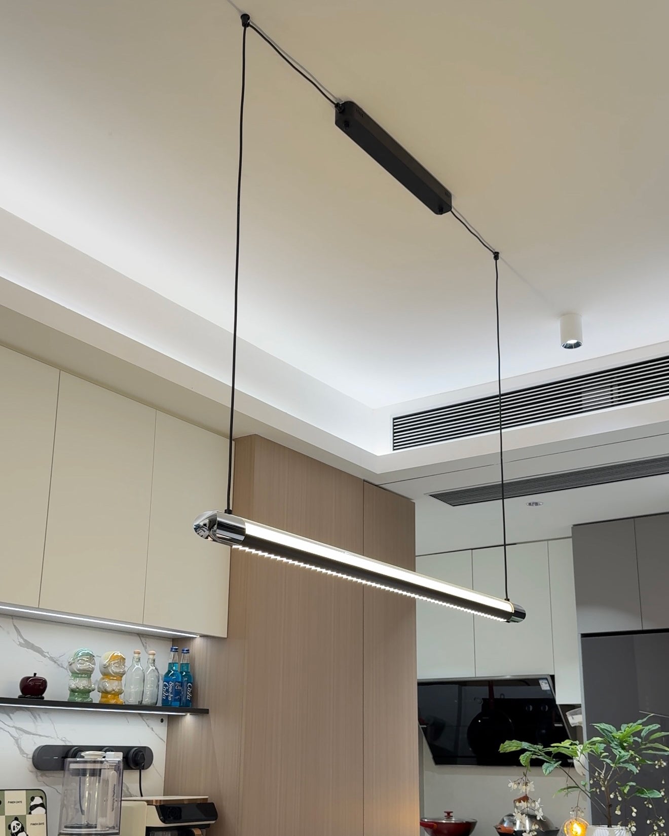Catherine | Black Linear Pendant