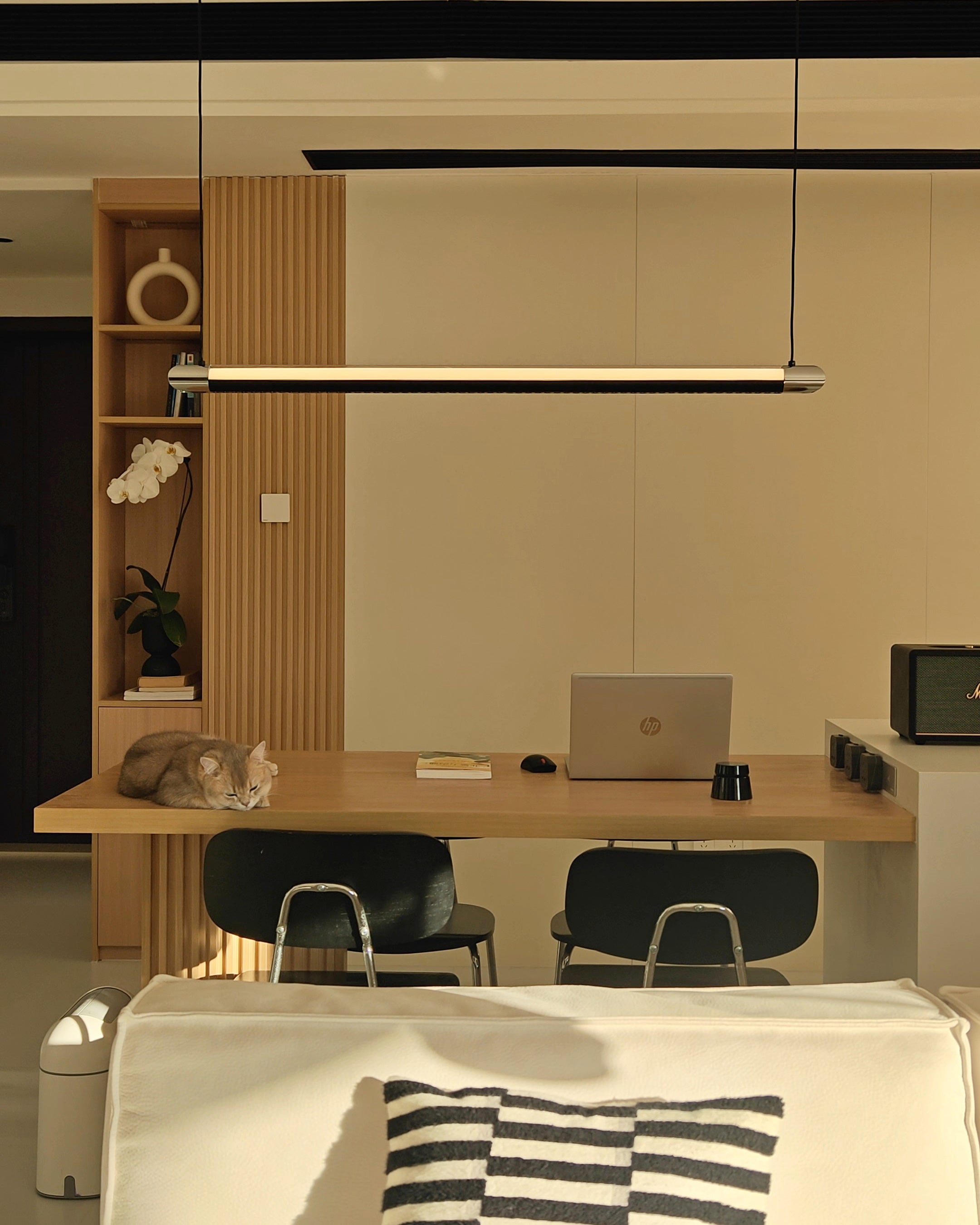 Catherine | Black Linear Pendant