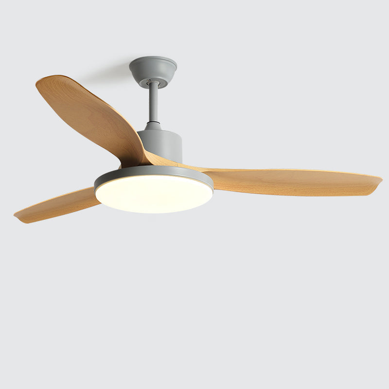 Meredith | Ceiling Fan