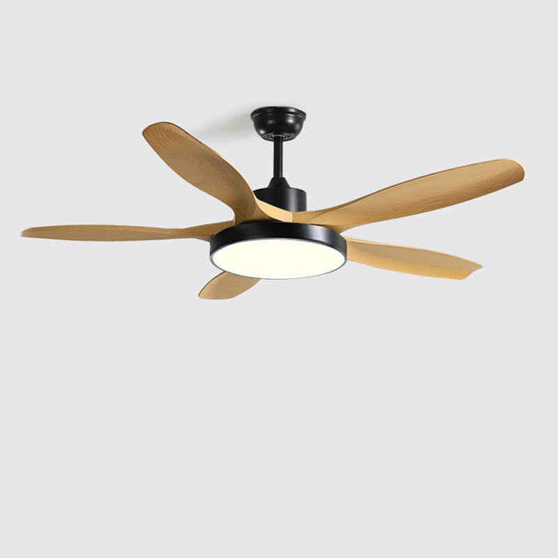 Meredith | Ceiling Fan