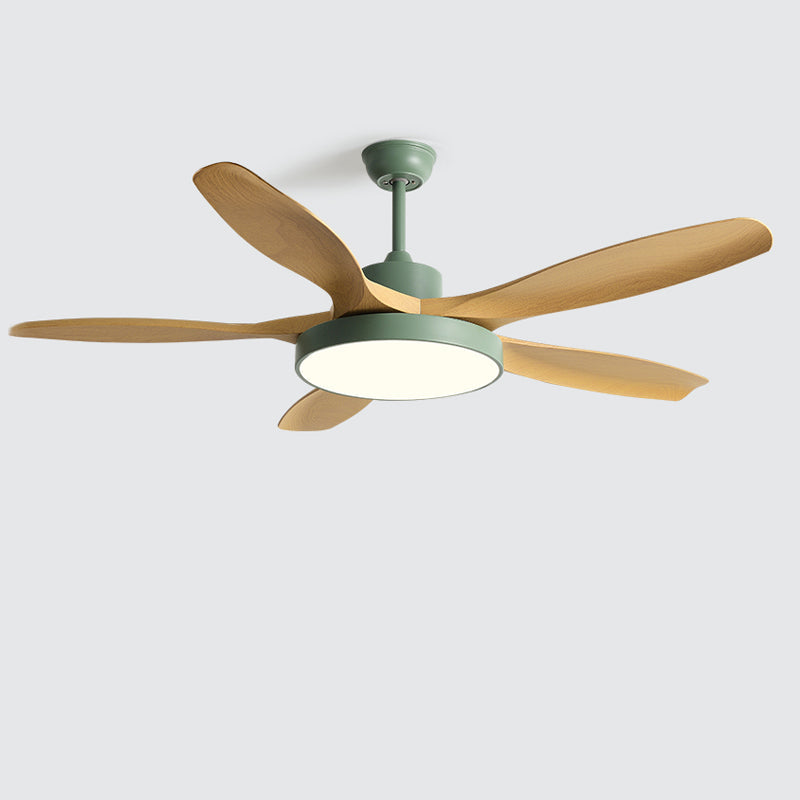 Meredith | Ceiling Fan