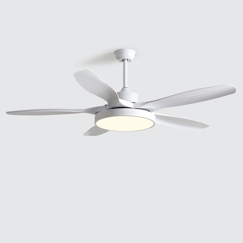 Meredith | Ceiling Fan