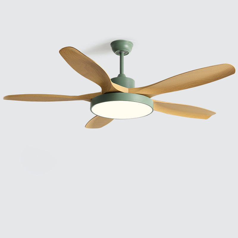 Meredith | Ceiling Fan