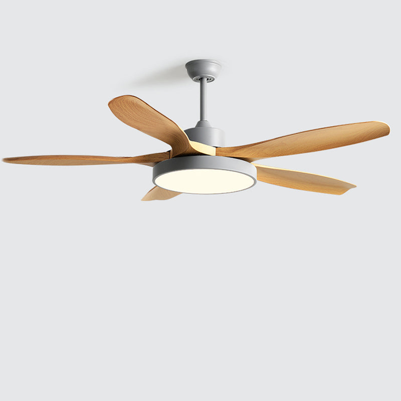 Meredith | Ceiling Fan