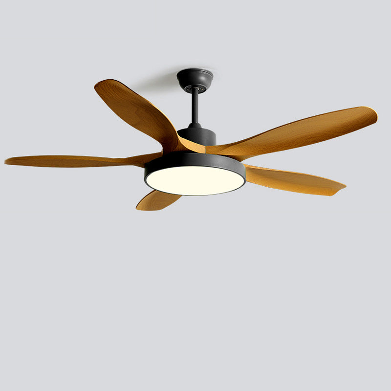 Meredith | Ceiling Fan